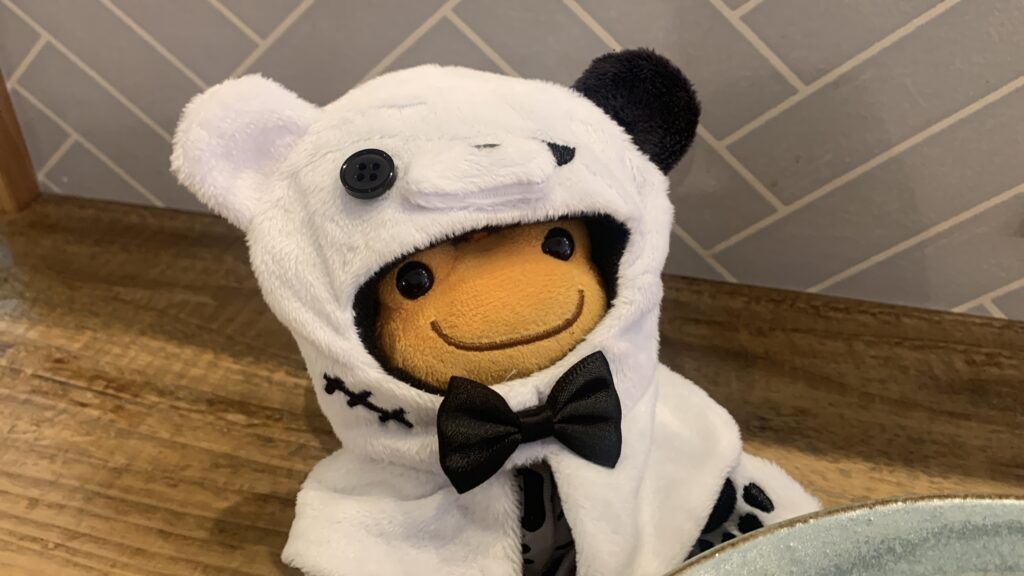 みとむや 5周年 週替わりカレー祭5週目 クマのフードをかぶったダイア かえるのピクルス カレーの前