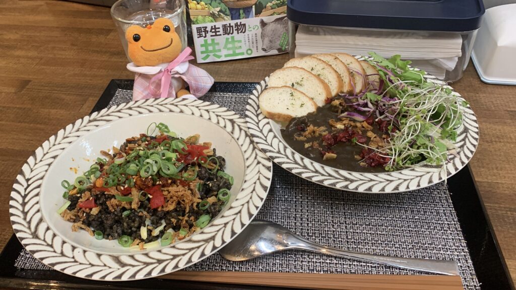 Gibier Black ジビエブラック 熟成鹿肉の黒飯と黒カレー ハーフサイズ ダイア かえるのピクルス