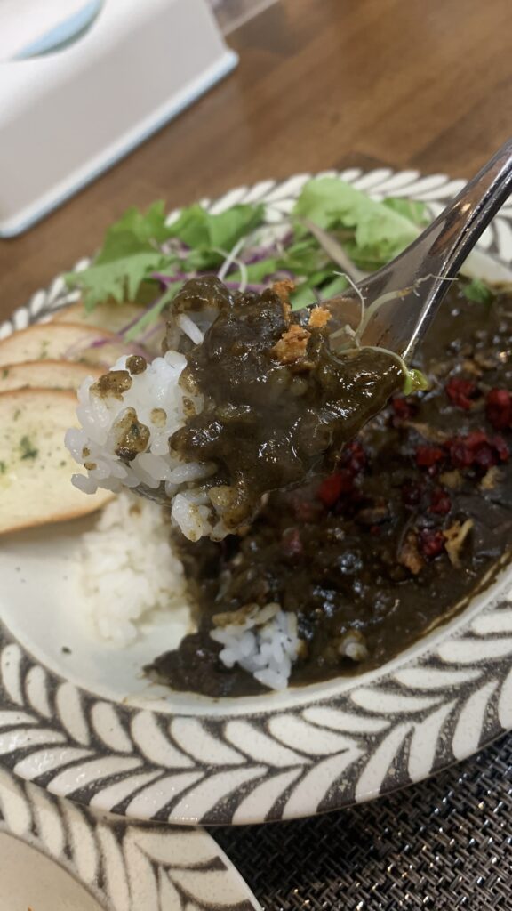 Gibier Black ジビエブラック 熟成鹿肉の黒カレー パンの下のご飯