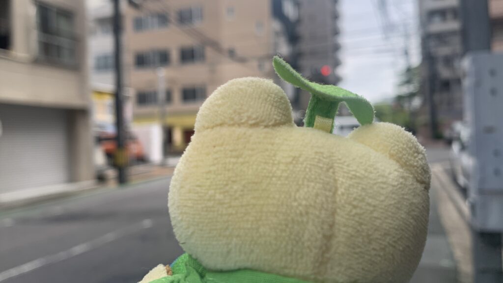 SUM CURRY 堺町の交差点 ほし かえるのピクルス 広島市中区