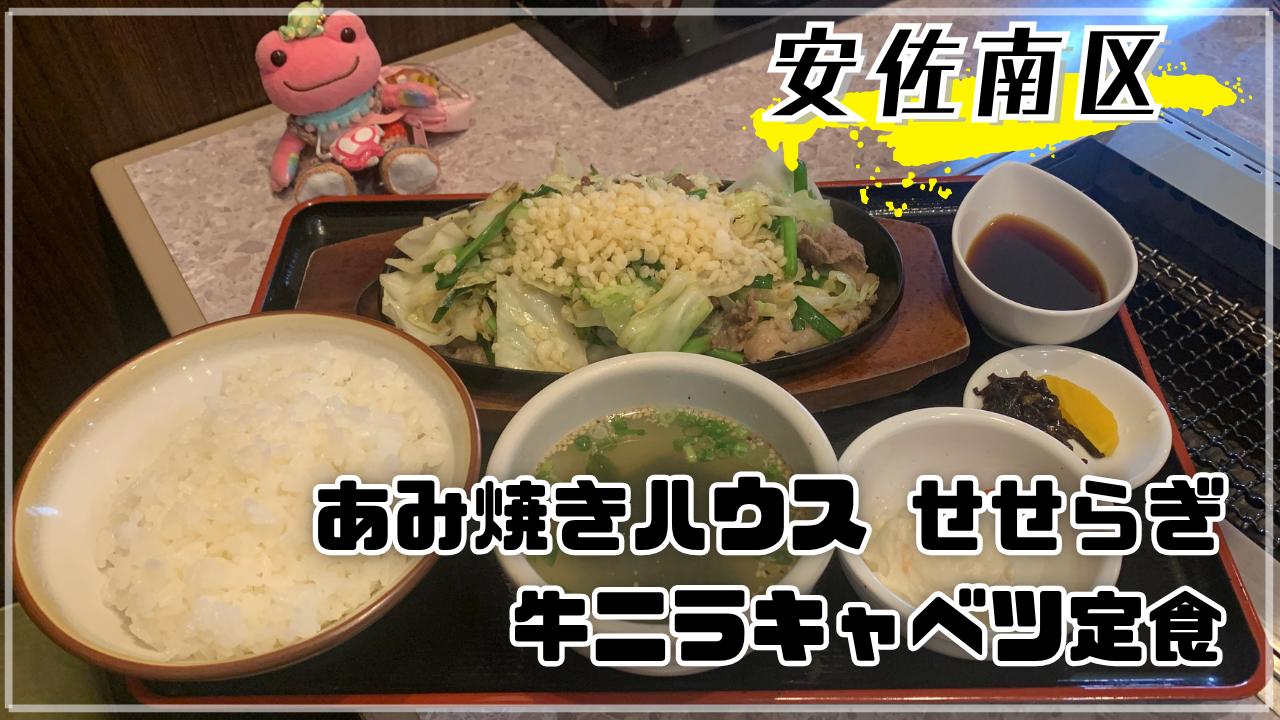 あみ焼きハウス せせらぎ 牛ニラキャベツ定食 秘書 かえるのピクルス 広島市安佐南区緑井